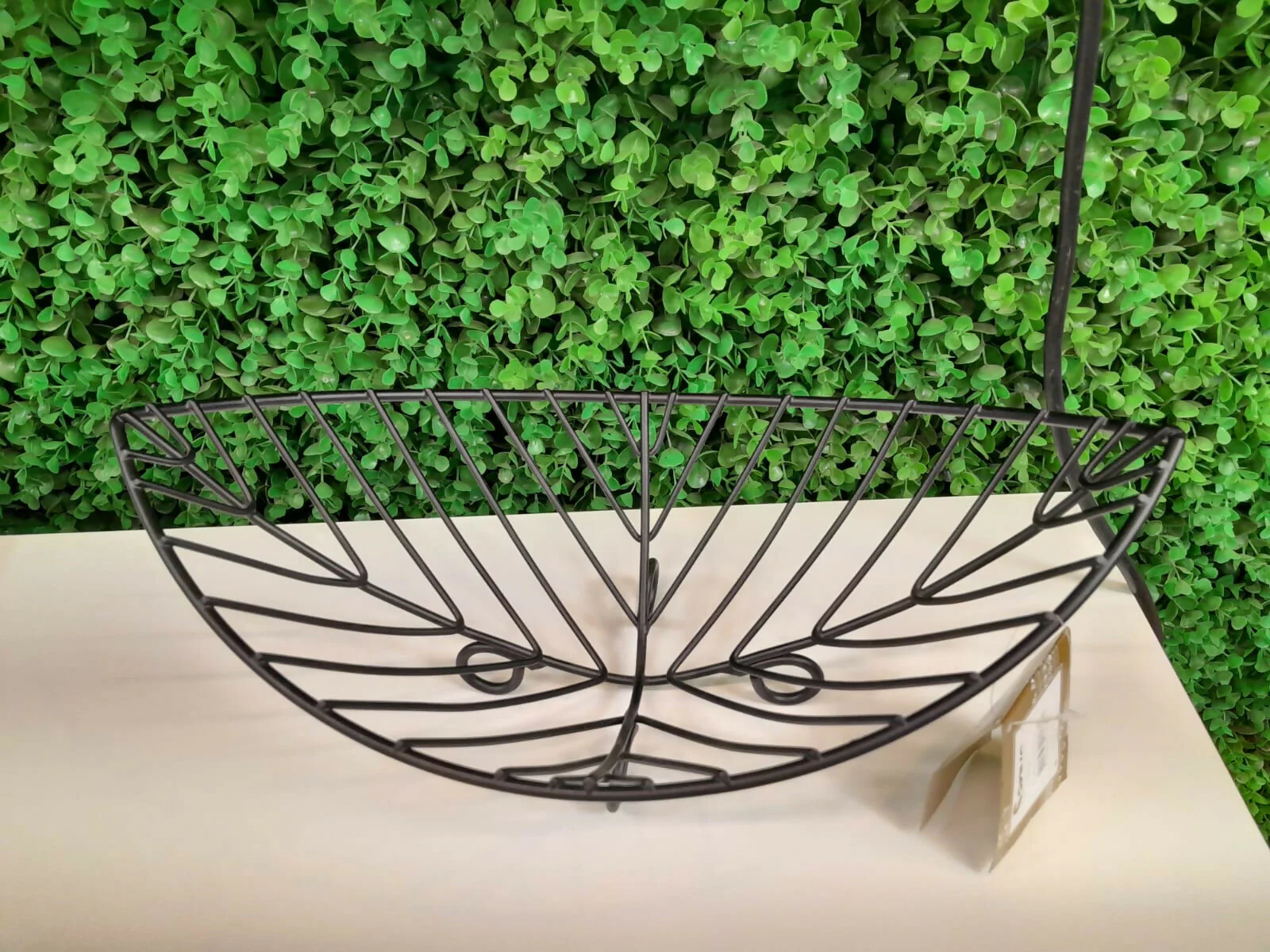 Frutero de hoja - Imagen 2